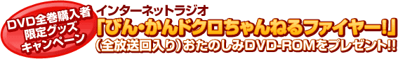【DVD全巻購入者限定グッズキャンペーン】応募者全員にインターネットラジオ『びん・かんドクロちゃんねるファイヤー！』（全放送回入り）おたのしみDVD-ROMをプレゼント！！