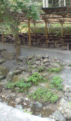 1024-03.jpg